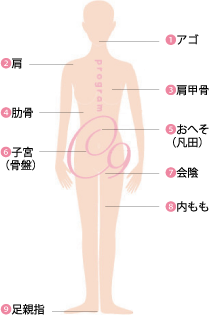 c9人体