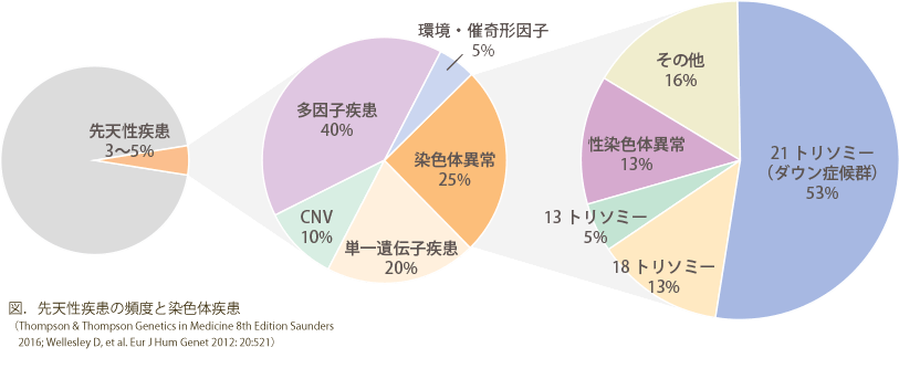 図．先天性疾患の頻度と染色体疾患