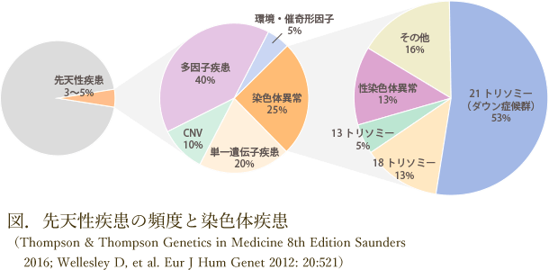 図．先天性疾患の頻度と染色体疾患